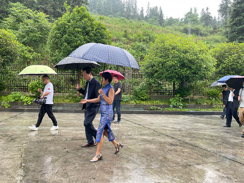 湖北山茶油廠家