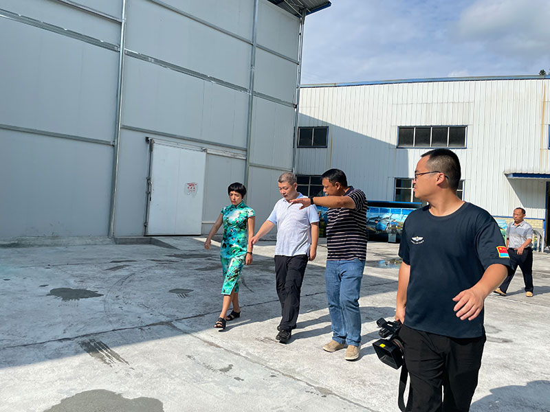 湖北山茶油廠家