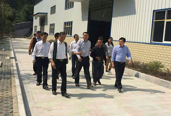 湖北有機山茶油