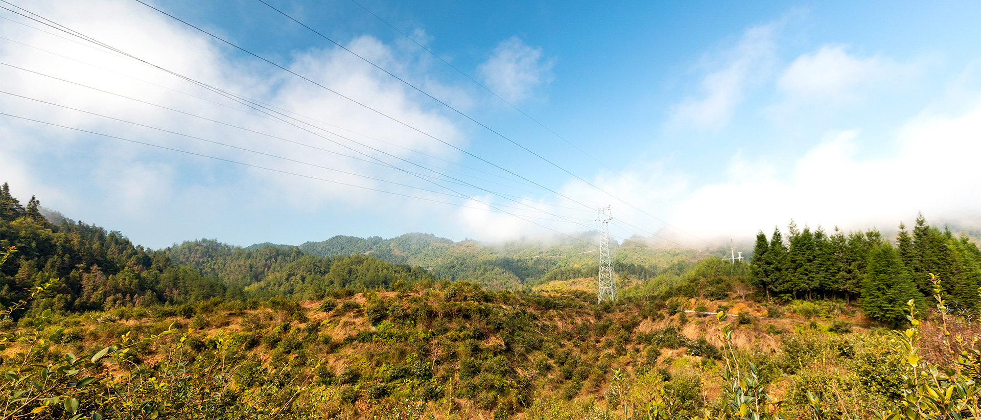 IMG_8190_1920_219.jpg IMG_8190_1920_219.jpg