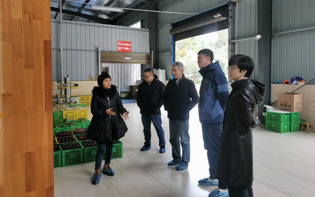 2021年12月28日中南民大教授、州發(fā)改委領導到廠里視察