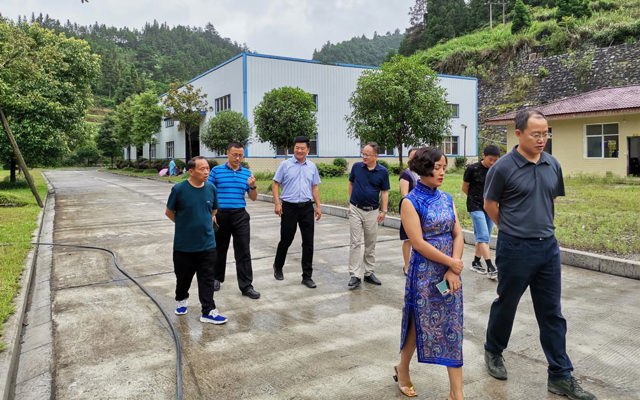 2020年7月3日恩施州黃副州長，來鳳縣杜副縣長來司調(diào)研