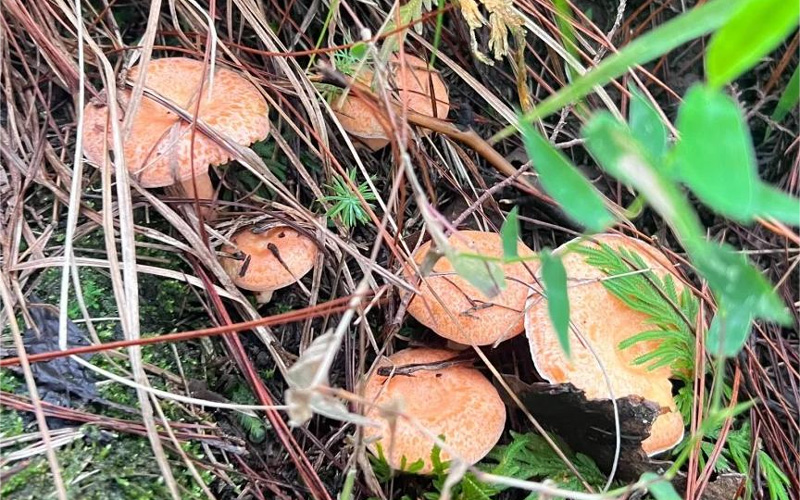 微信圖片_20240719174047.jpg 微信圖片_20240719174047.jpg